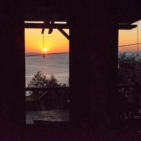 House Of The Rising Sun *