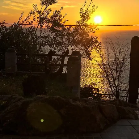 House Of The Rising Sun * خوريفتون